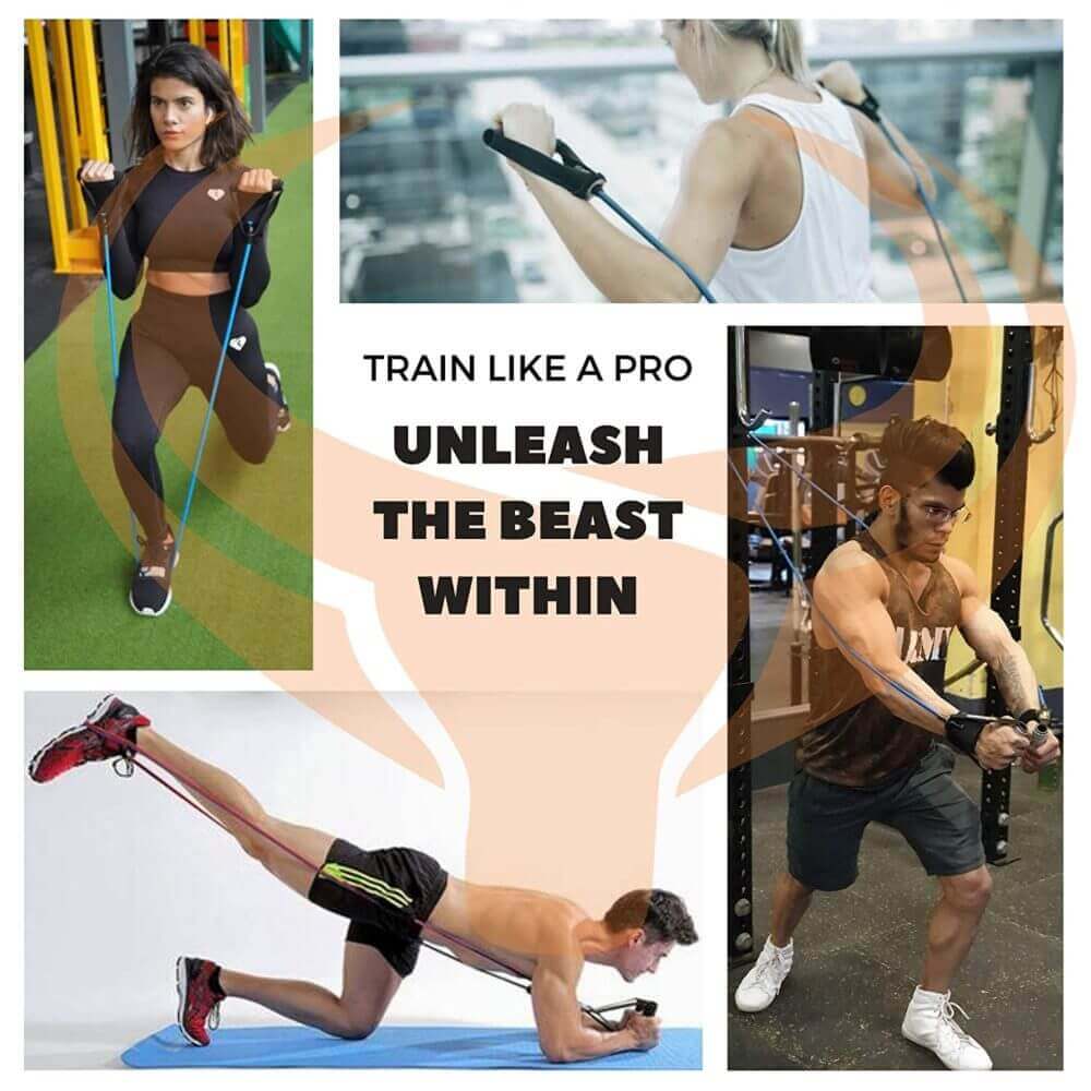 PRO Light + Medium (20-40lbs)