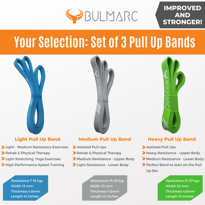 3 Pull Up Bands with Door Anchor